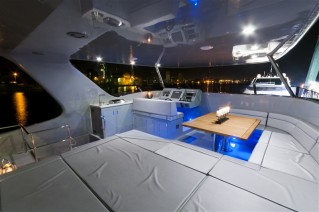 Catamaran EWHALA -  Flybridge